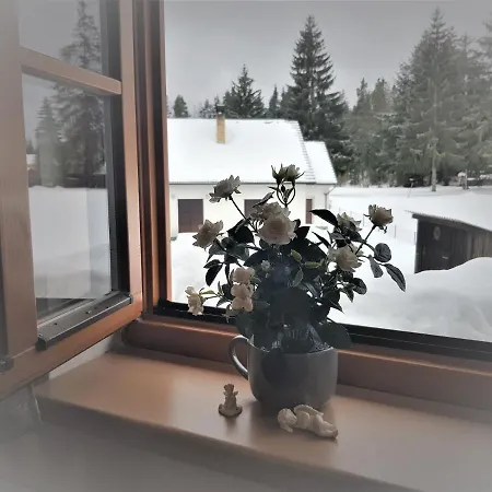 Apartmany Prima Nova Lake Nová Pec Buitenkant foto